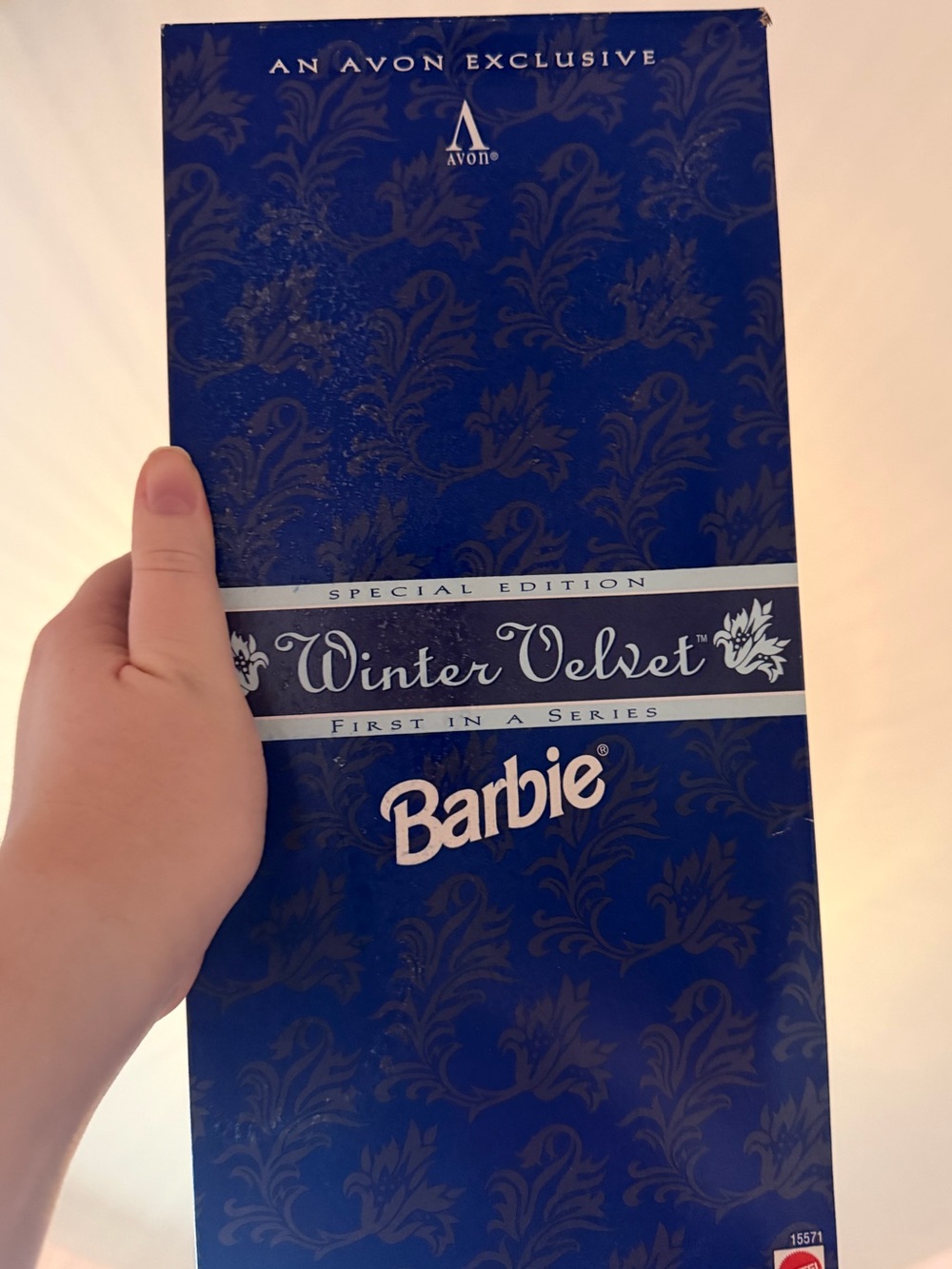 Barbie Winter Velvet Box